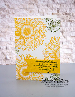 Celebrate Sunflowers Stamp Set, Whisper White note cards & Envelopes, Daffodil Delight classic Ink, Old Olive Classic Ink, Stampin' Up!, Rick Adkins