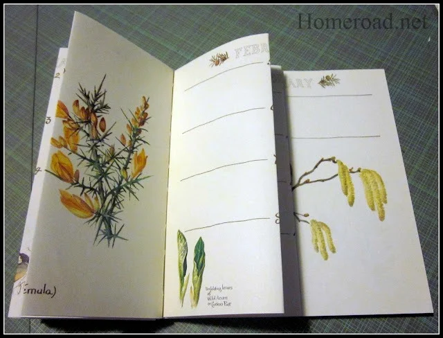 folding book pages