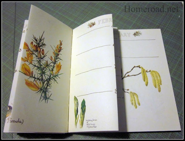 folding book pages