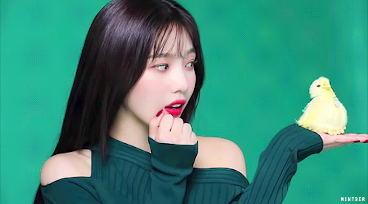 팬들이 환장하는 포인트를 넣은 레드벨벳 시즌그리팅 컨셉.jpgif | 인스티즈