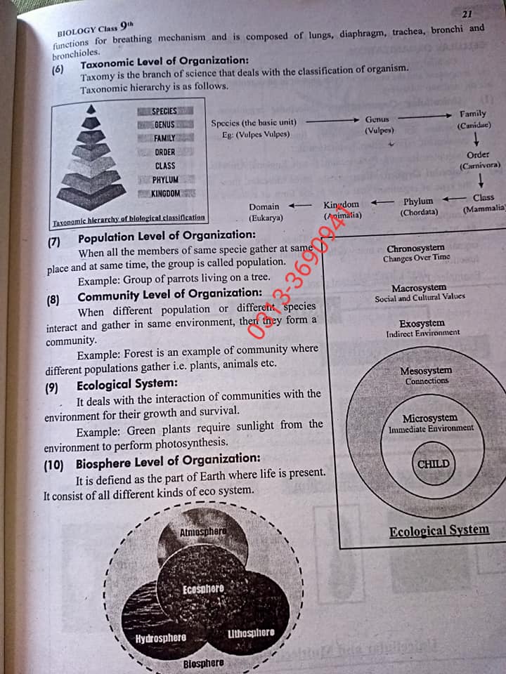 Sindh text board books and syllabus material from class 1 to class 10