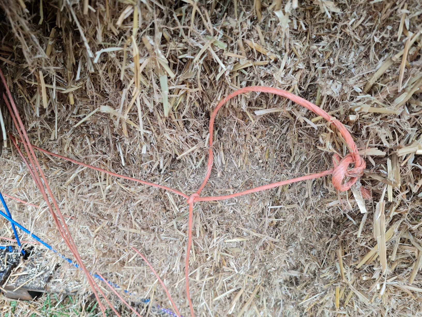 An English Homestead Straw For The Chickens