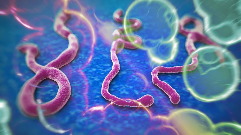 Apakah Virus Ebola?