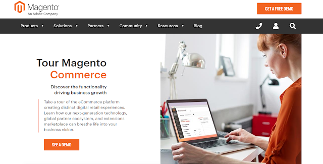 magento e-commerce website