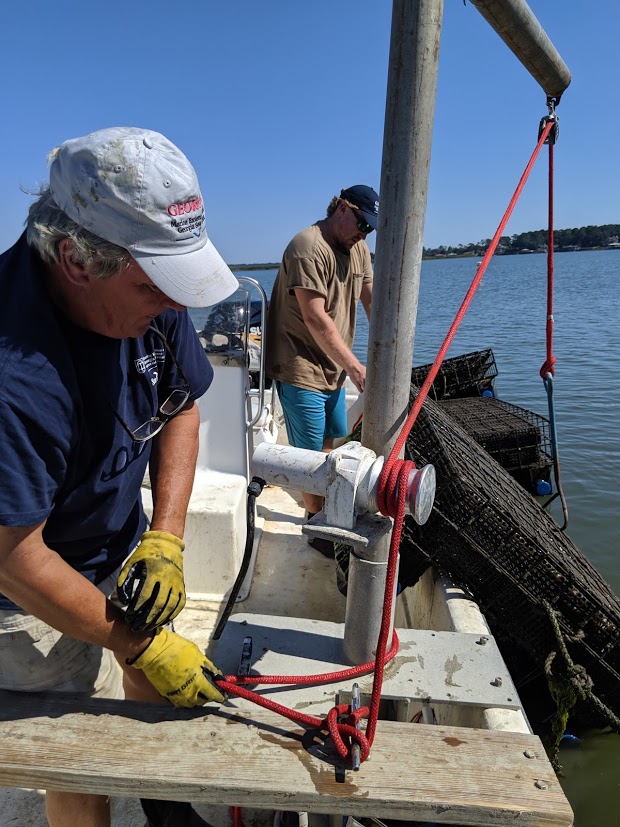Stories from the Creek Oyster Farming Industry Positioned For Growth