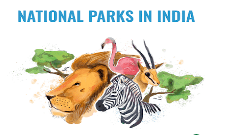 Important National Parks in India