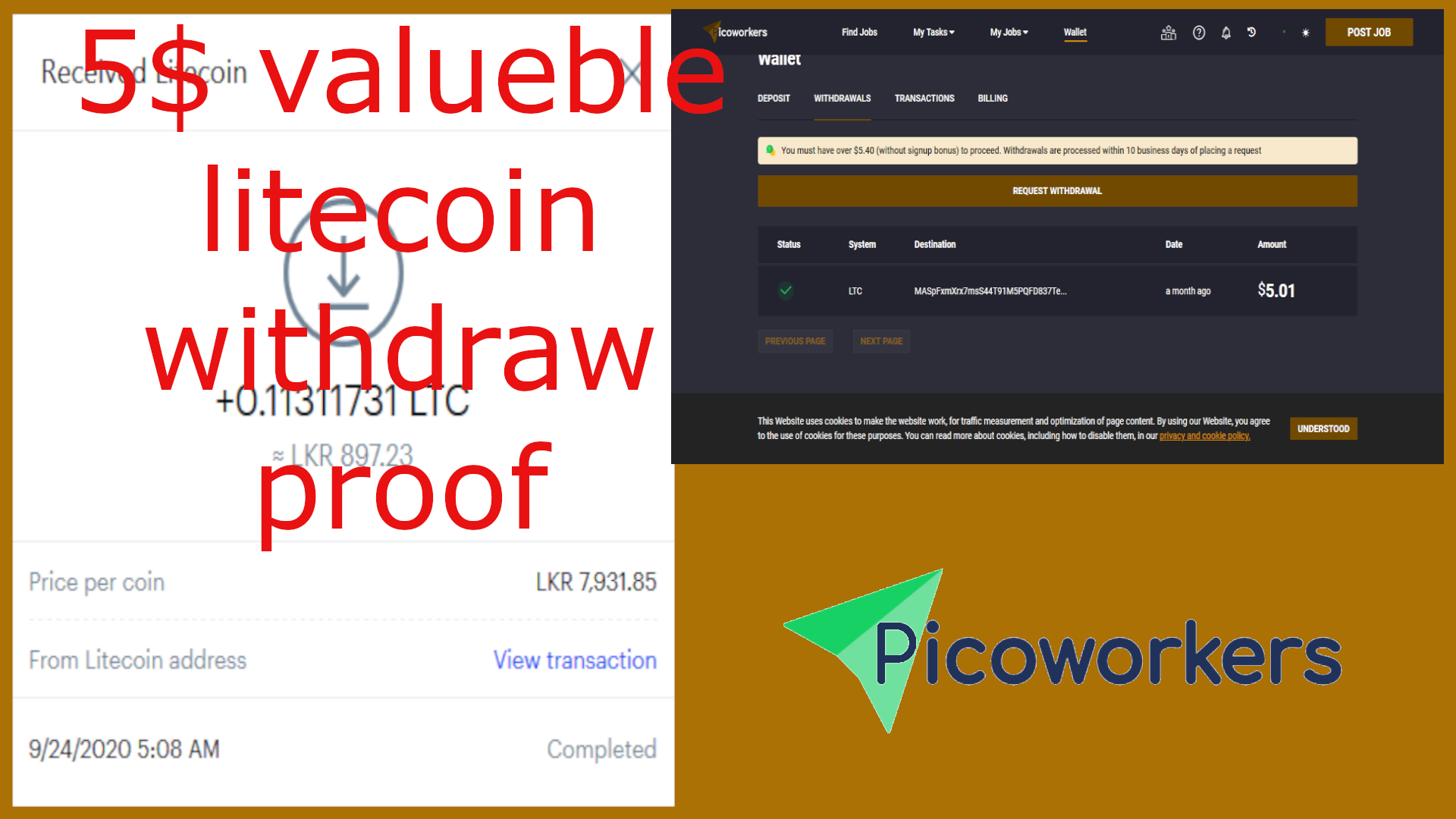 Best website to earn money online free | picoworkers review