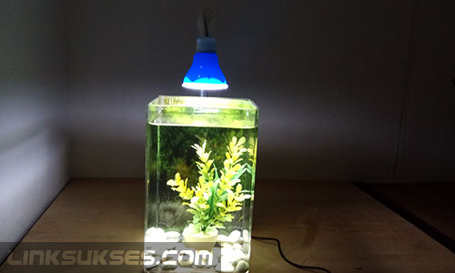 LED Aquarium