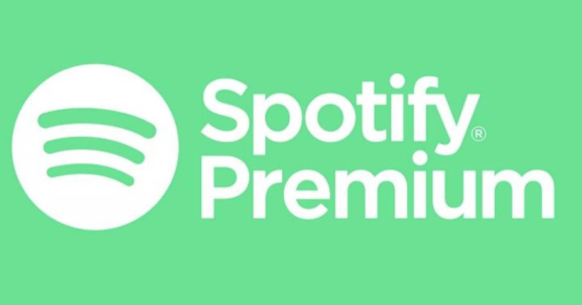 spotify net worth spotify net worth