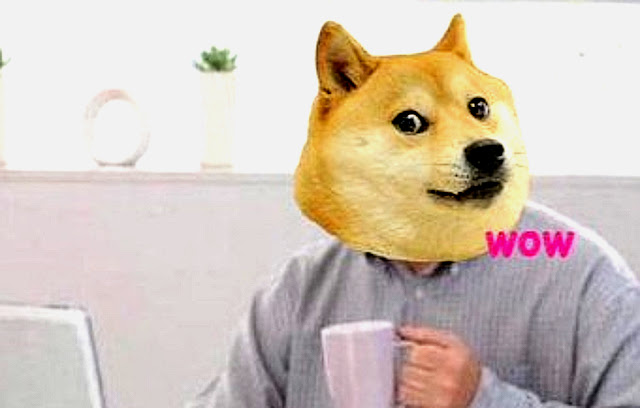 DOGE COIN SOARS, NOW EQUALS AN INCREDIBLE ONE 