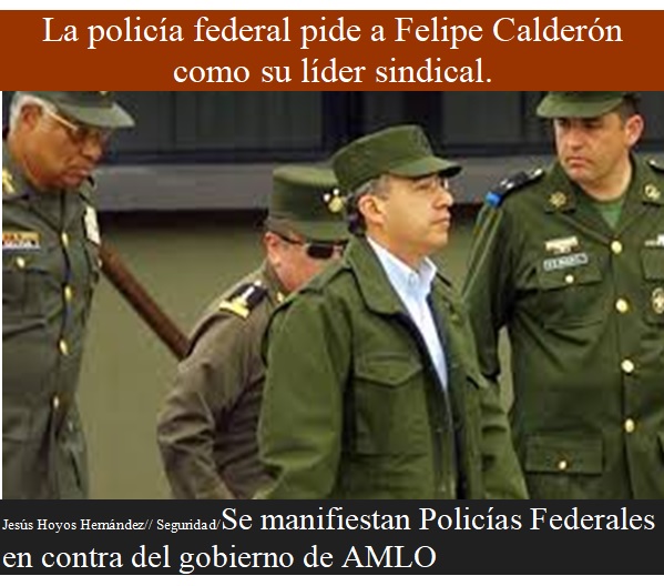 SEGURIDAD