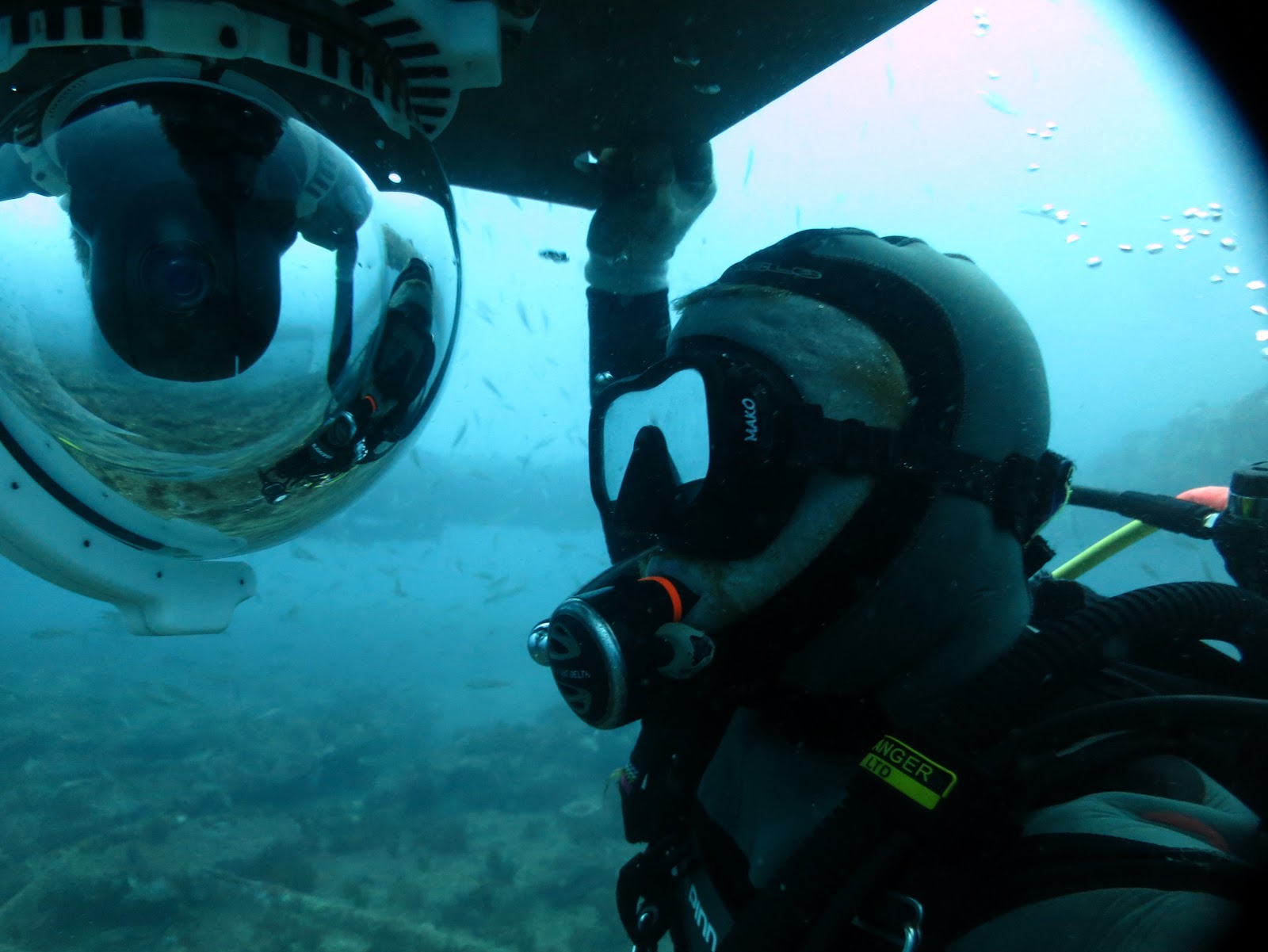 Coastal Carolina Scientific Diving Association