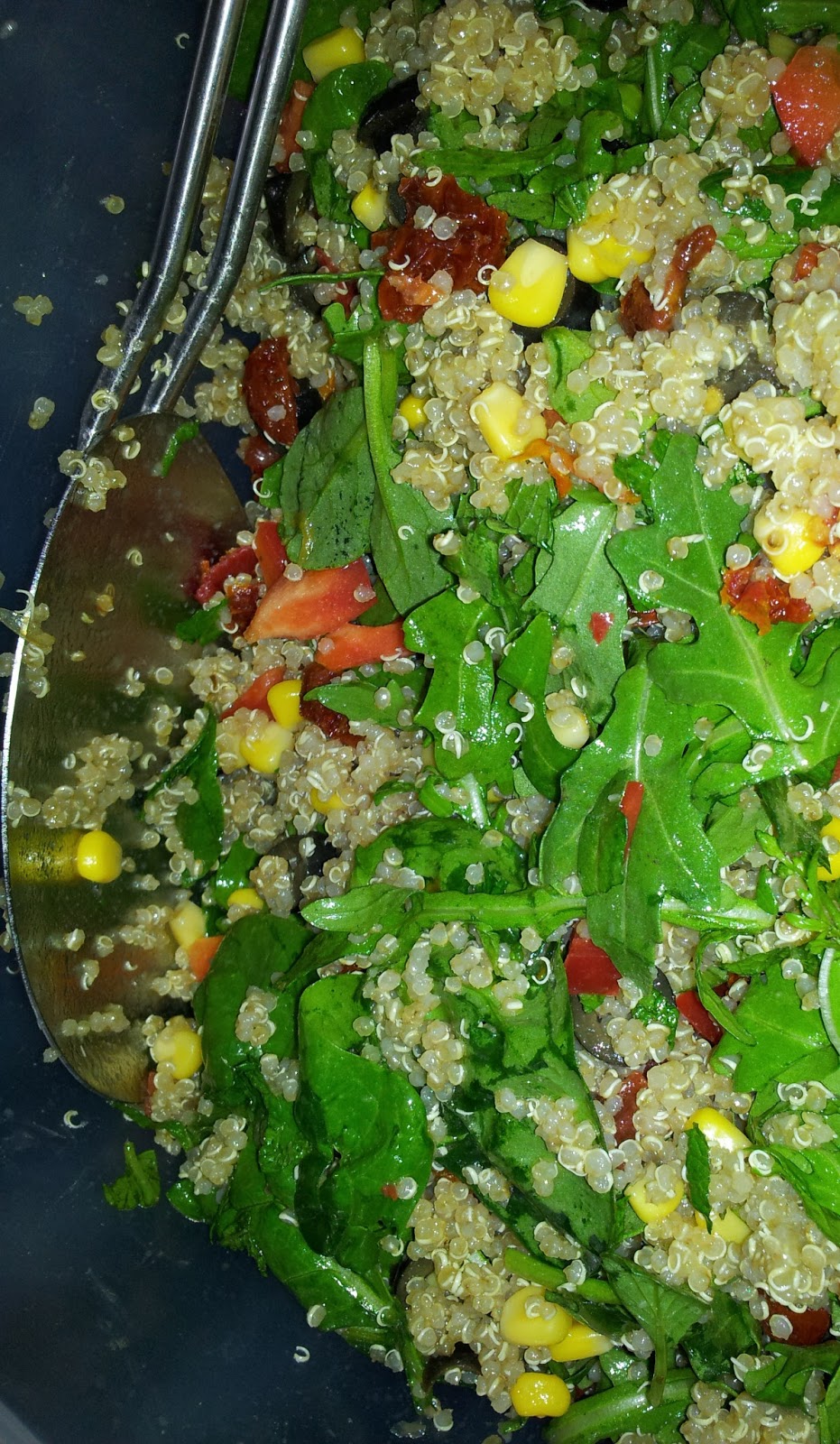 Living on Pulse Quinoa Summer Salad with Sundried tomatoes, Kalamata