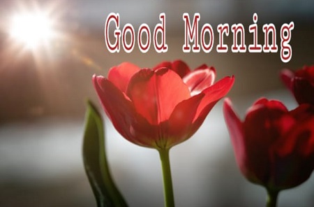 New Good Morning New Good Morning