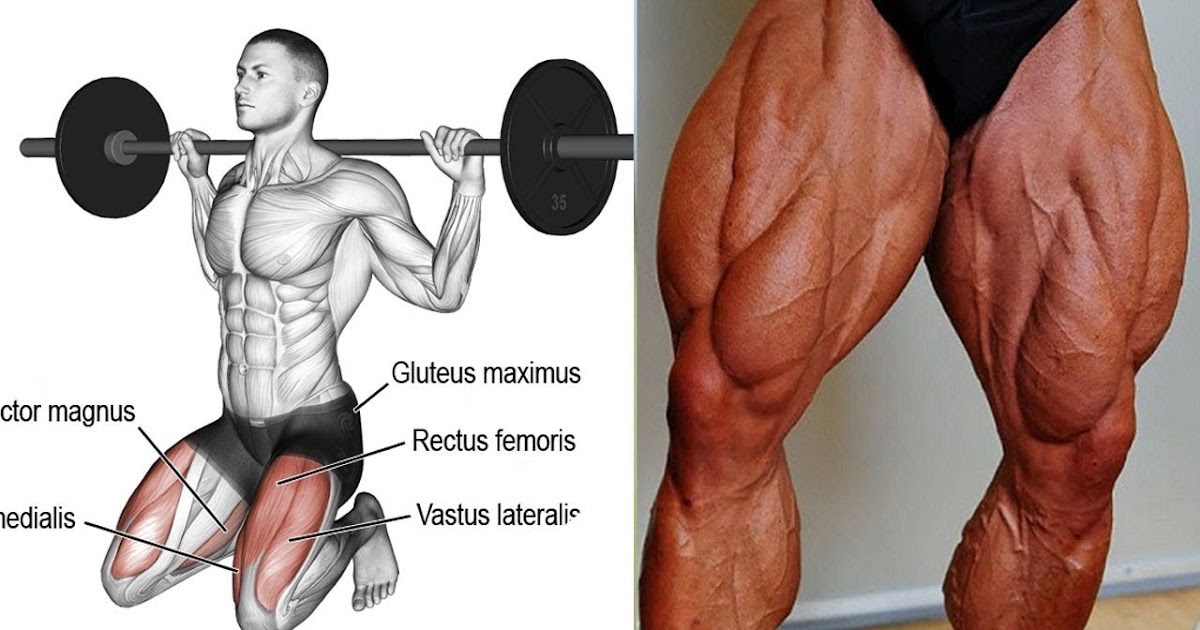 6 Best Exercises To Build Massive Legs Fitness Freak