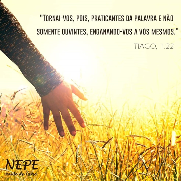 Ser Espírita Emmanuel Livro Palavras de