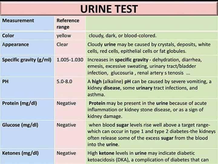 My Health My Wealth Blood Count Kidney Function Test Liver Function my-health-my-wealth-blood-count-kidney-function-test-liver-function