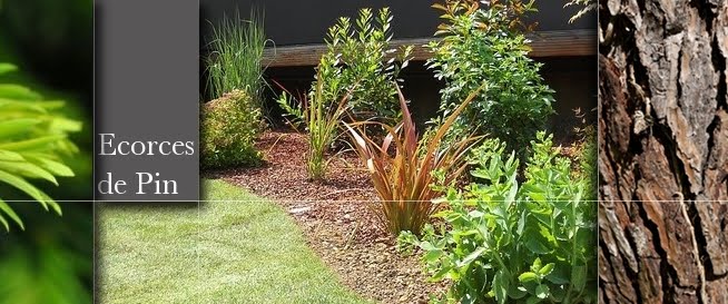 Ecorces De Pin Pas Cher