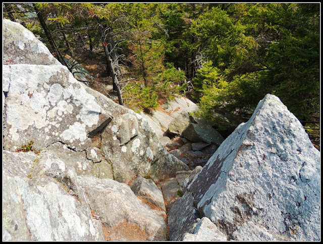 Zona Rocosa del Sendero del Monadnock State Park (NH)