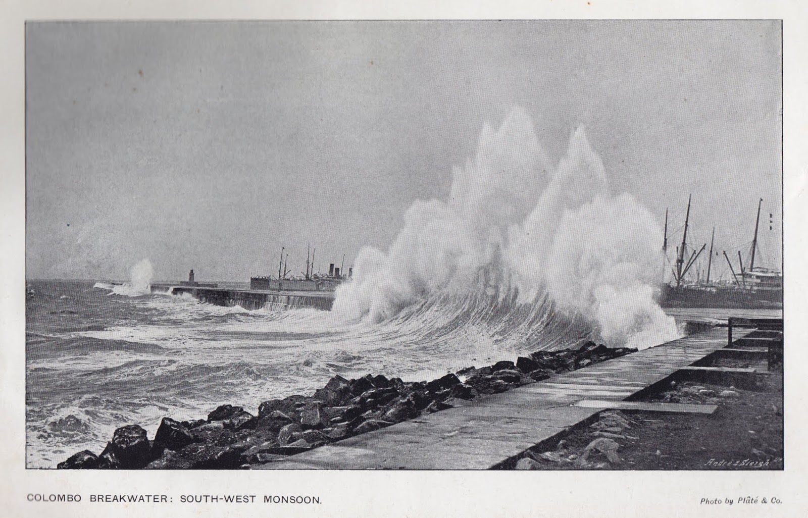 1904 St. Louis World's Fair Ceylon Hand Book