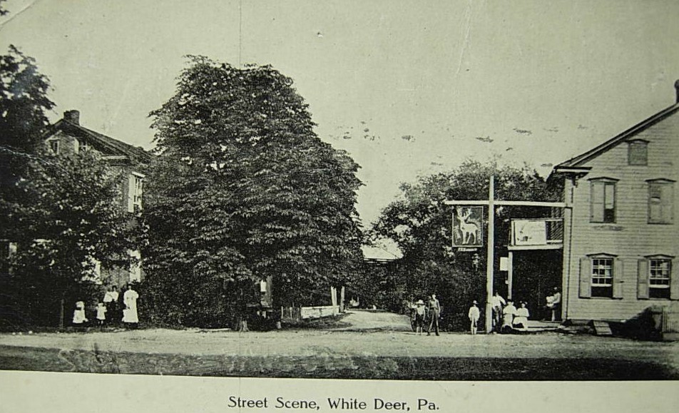 Valley Girl Views The White Deer Hotel