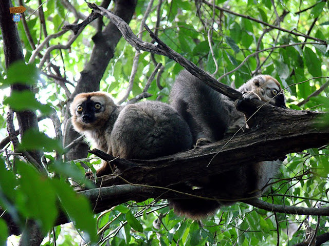 Madagascar: parque Nacional Tsingy de Bemaraha