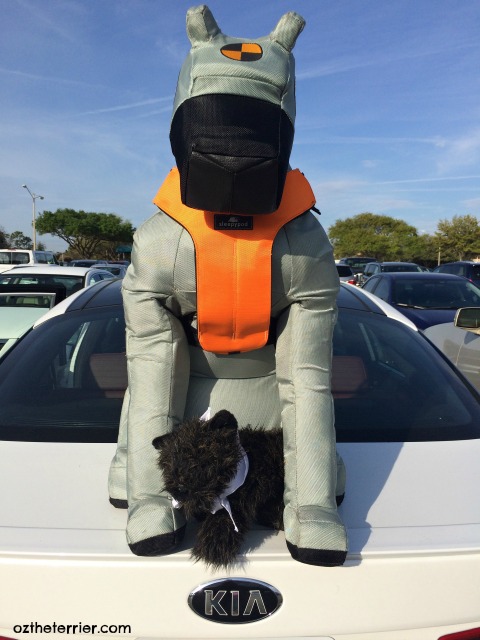 Wow to Thrilling & Pet-Friendly 2016 Kia Optima SX Turbo #DriveKia | Oz the  Terrier - Lifestyle Dog Blog