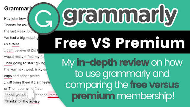Grammarly Grammar Checker Review 2020: Comparing the Free VS Premium Memberships- Realearnr