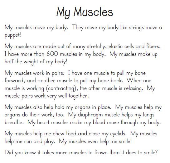 LOS MÚSCULOS EN INGLÉS