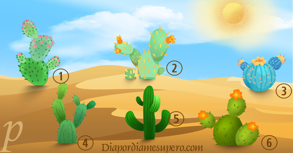 🌵 Test: Elige un Cactus y descubre qué dice tu voz interior