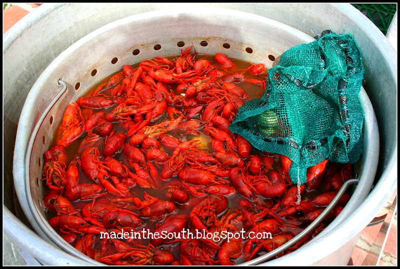 Made In The South Crawfish 101 Boiling