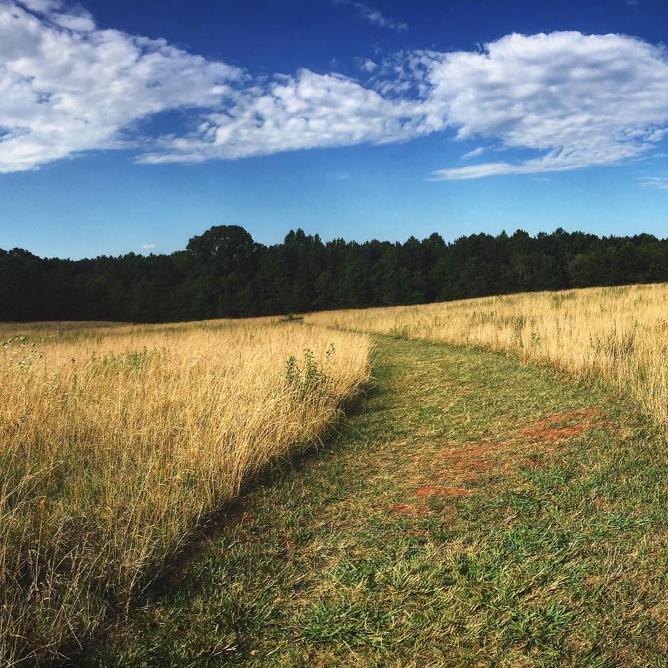 Green Meadows Preserve Blue Bird Trail IN THE HEAT OF MIDJULY, THINK