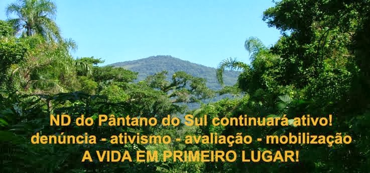 ND do Pântano do Sul