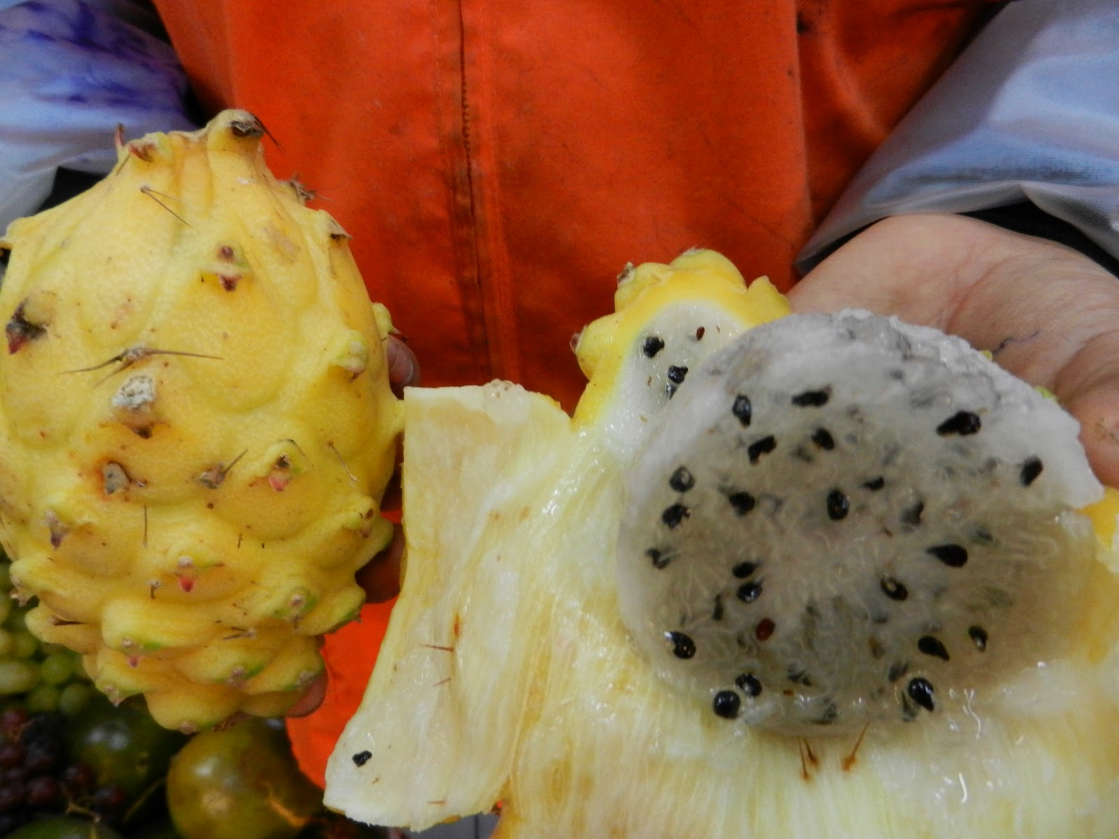 Caca-niqueis gratuitos online Chinese New Year