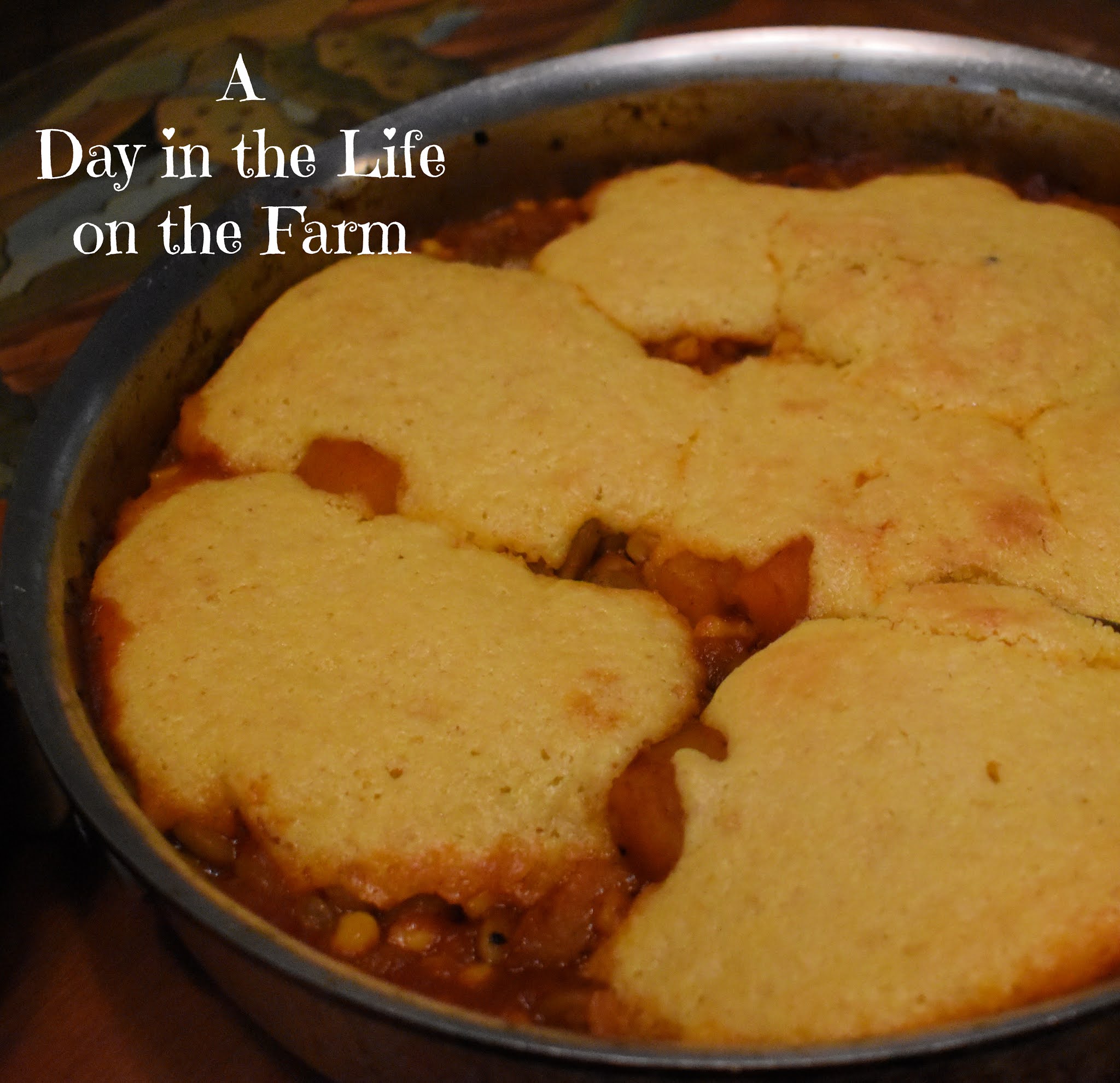 A Day in the Life on the Farm Celebrating the Algonquin Indian Tribe with 3 Sisters Casserole