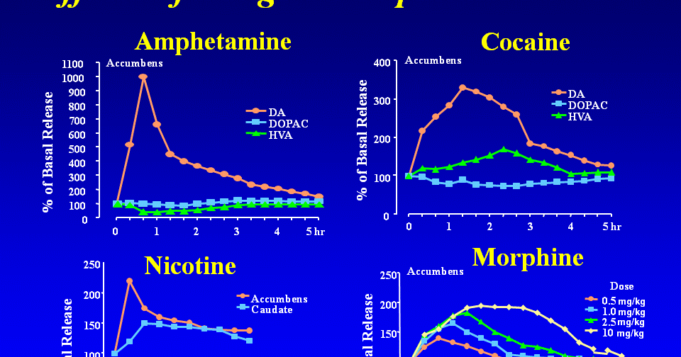 Dopamine Drip Rate Chart