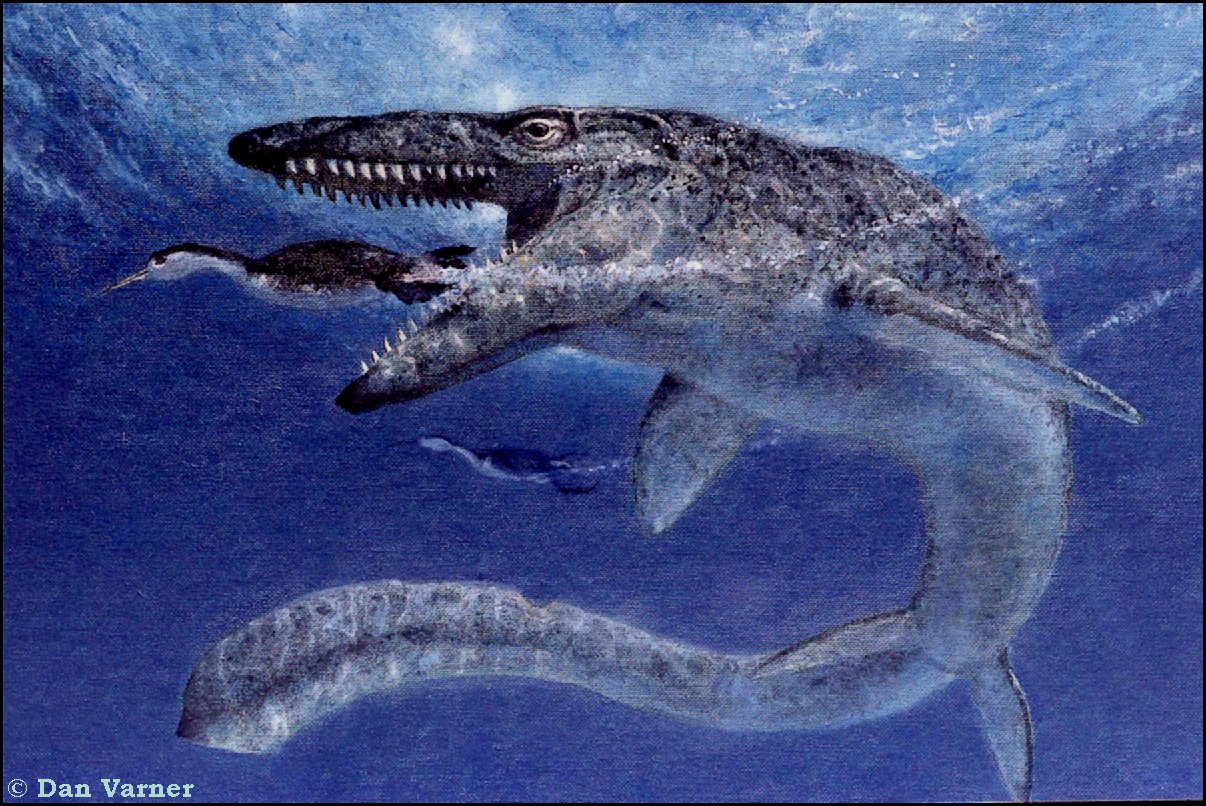 Ихтиозавры вторичноводные. Мозазавр Гоффмана. Мозазавр Юрского периода. Мозазавры мелового периода. Мозазавр динозавр.