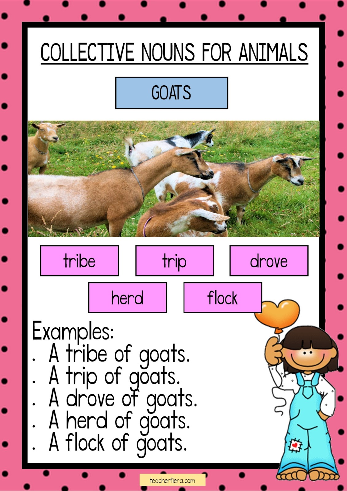 Collective Noun For Goats, Collective Nouns List In English, 60 OFF