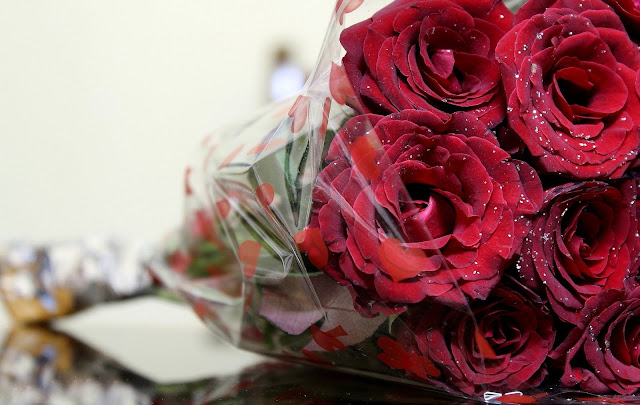 Beautiful Red Roses