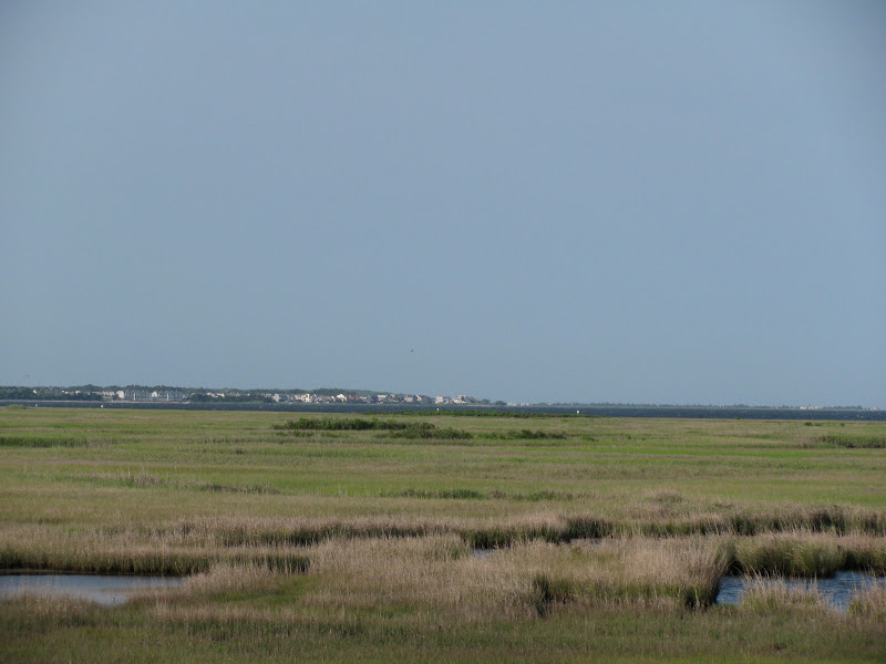 MidAtlantic Musings Oyster Creek Inn, Leeds Point, NJ