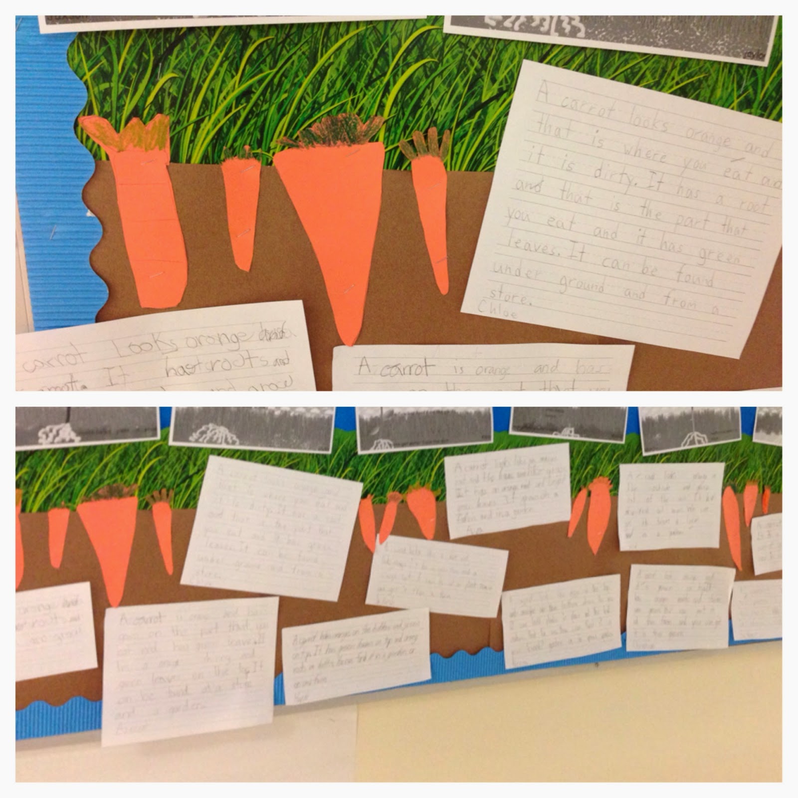 Blackboard An Elementary Education Blog Carrot Descriptive