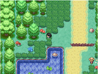 Pokemon Shattered Dimensions Screenshot 05