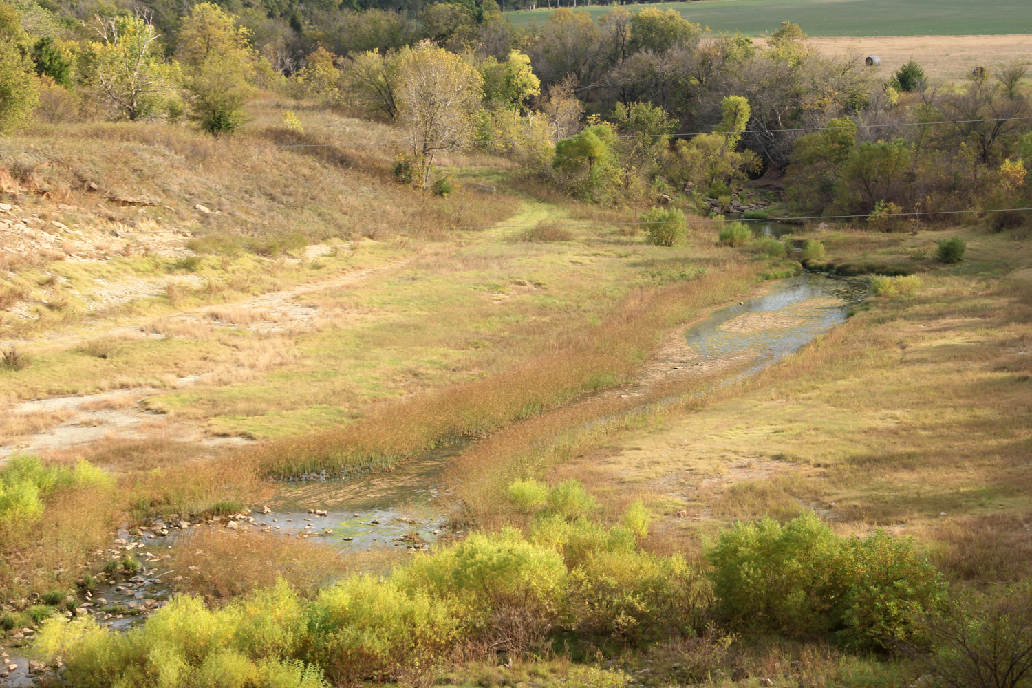Log of Ibi Lake Ellsworth, OK