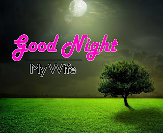 Beautiful-Good-Night-Images-Photos-Wallpapers-For-Mobile