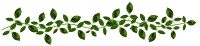 Ramo folhas verdes png Ramo folhas verdes png