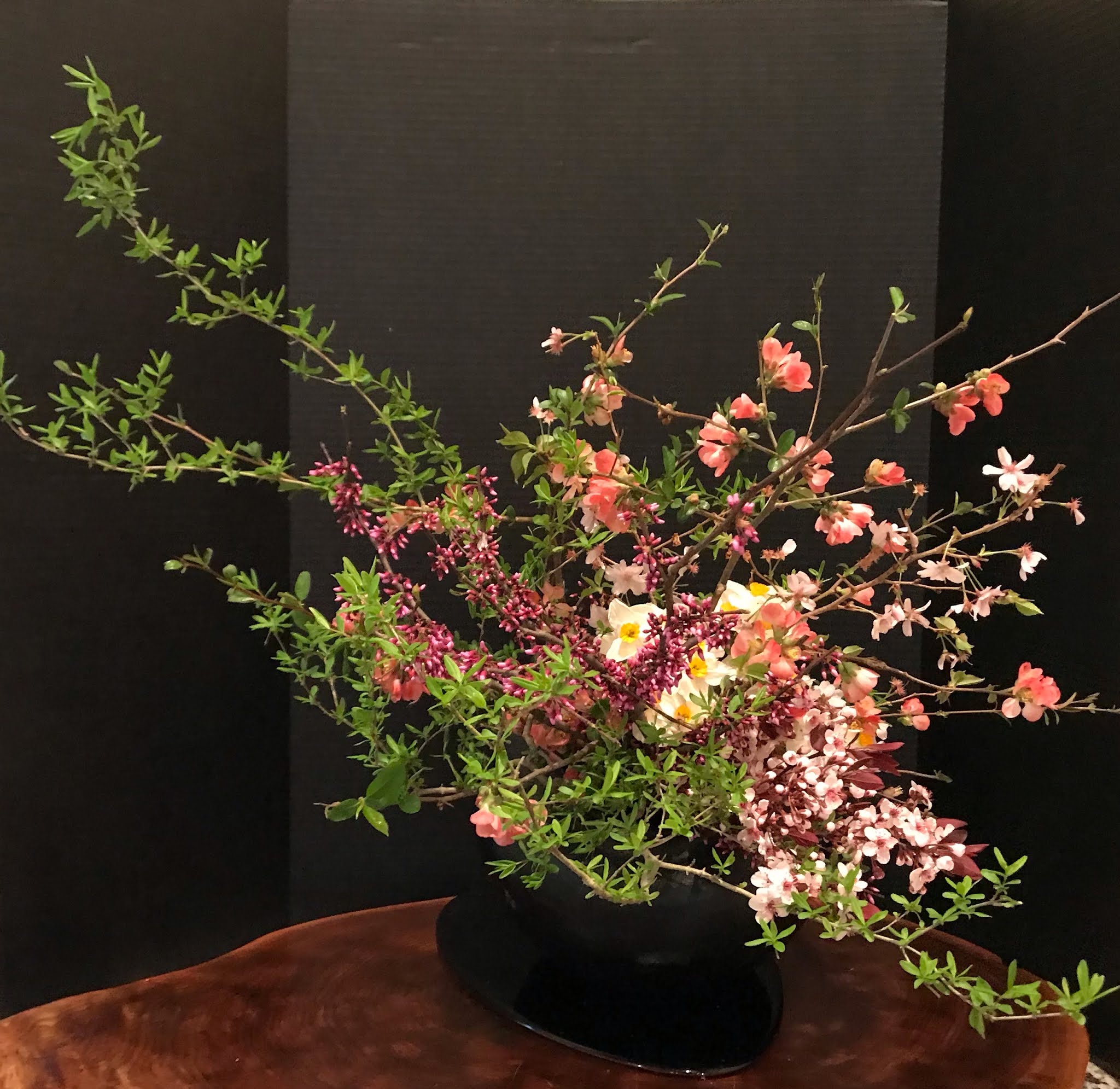 Orchids and Ikebana: Spring Splendor