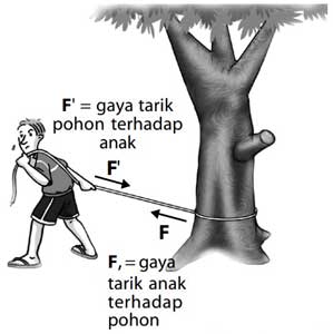 Contoh Hukum Newton Dalam Kehidupan Sehari Hari Berbagai Contoh