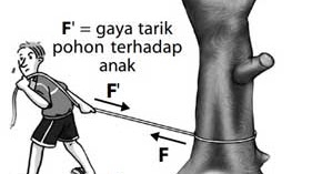 Hukum 3 Newton: Bunyi, Rumus, Contoh Penerapan, Soal dan Pembahasan