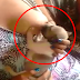 UNBELIEVABLE: Video of a Puppy Breastfeeding to a Lactating Woman?