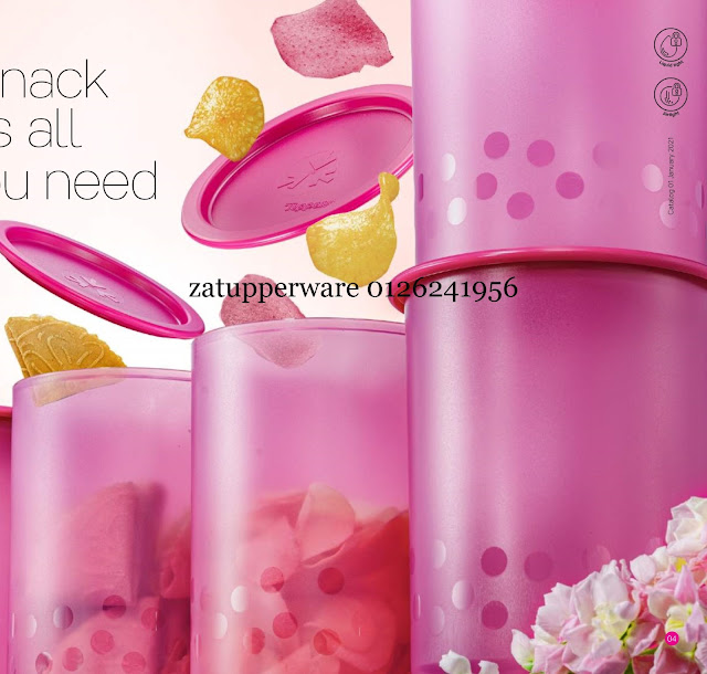 Tupperware Catalog 1st January - 31st January 2021